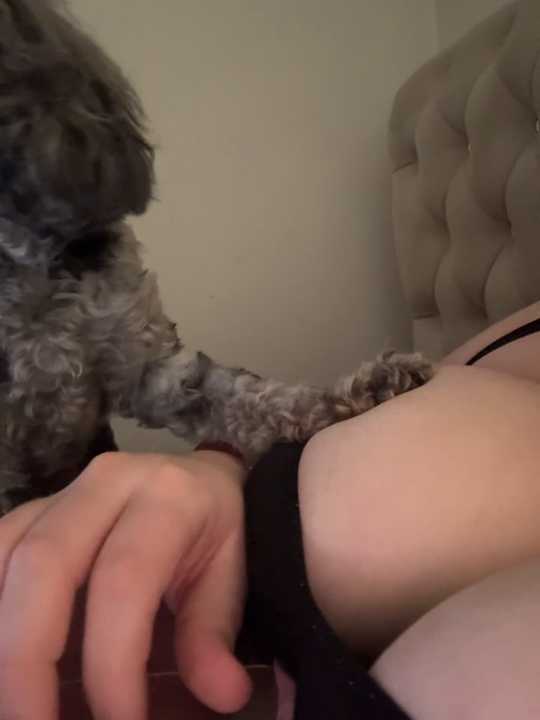 laylajonesxxx cam recording