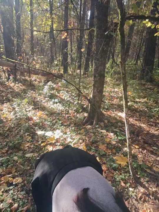 leussa cam recording