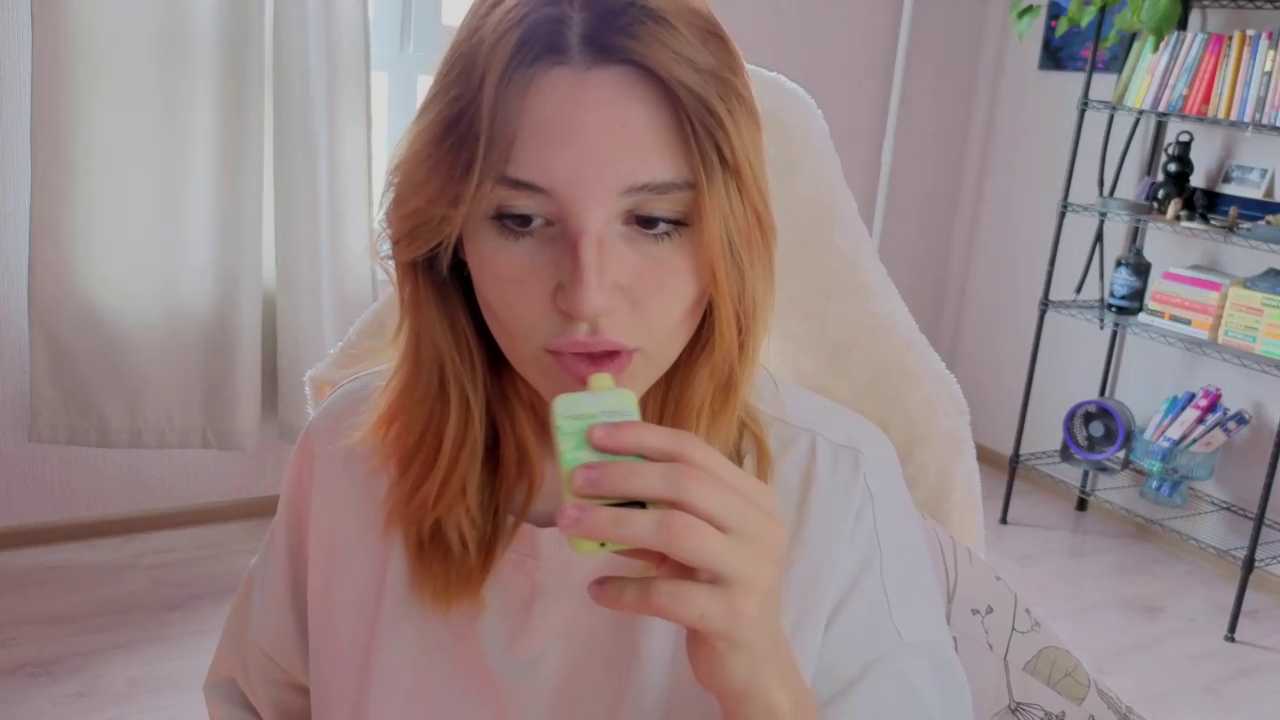 lina-way cam recording
