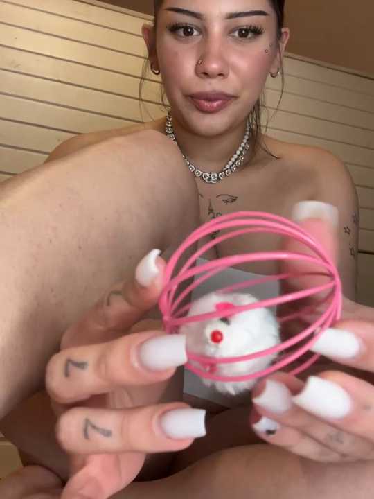 lora_meow