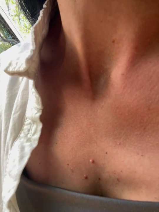 maja_Fox7