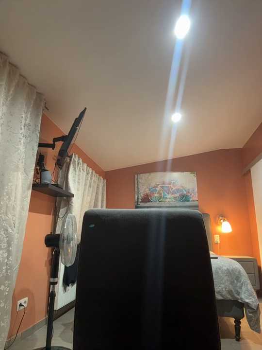 miaceleste cam recording