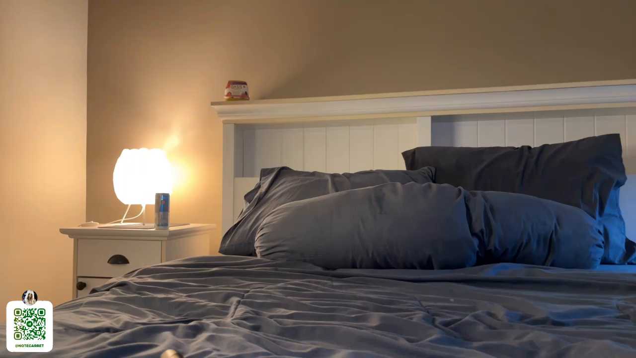 notecarret cam recording