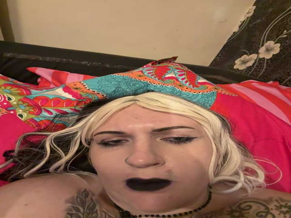 paradoxical_enigma cam recording