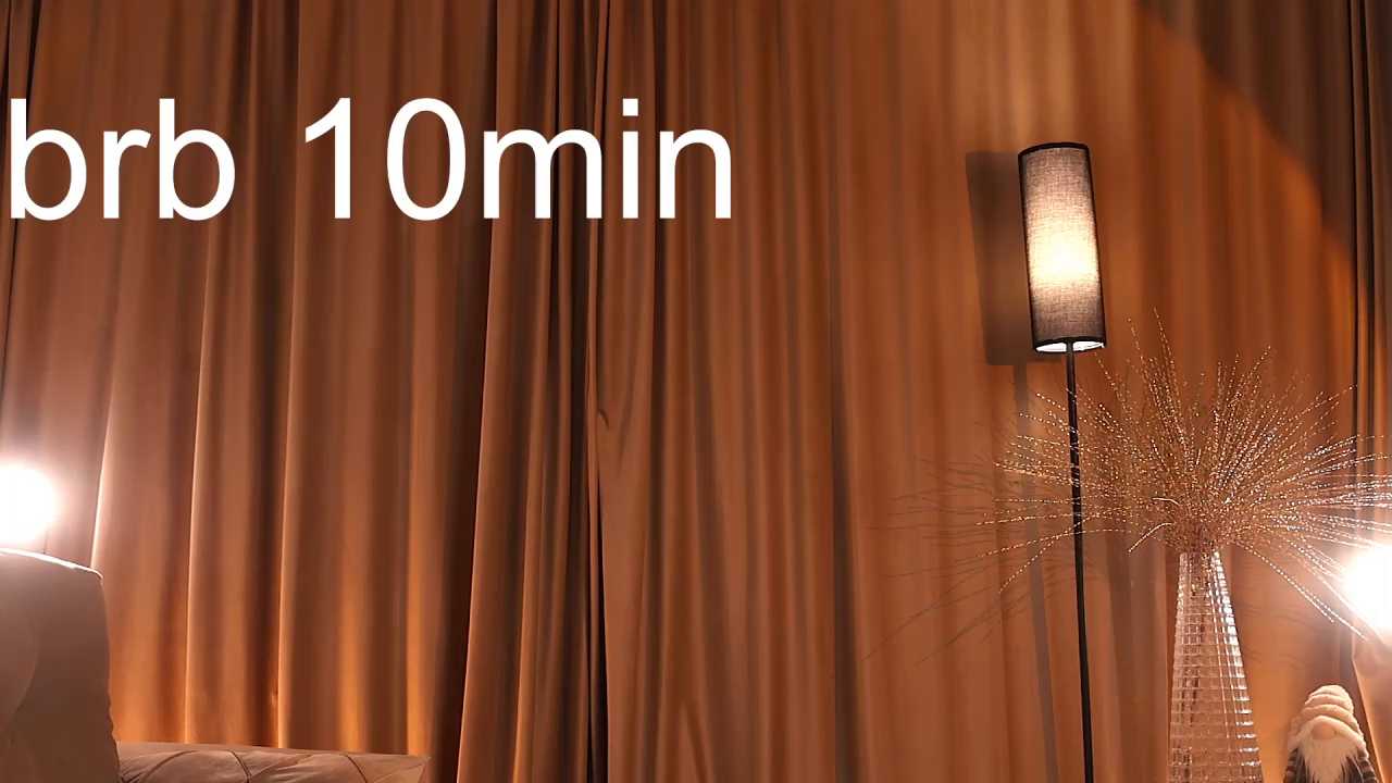 the_adelheid cam recording