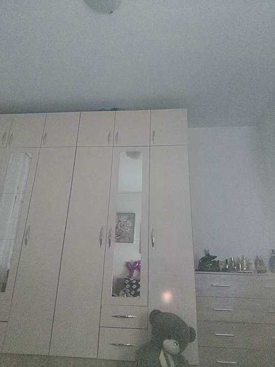 visnjica
