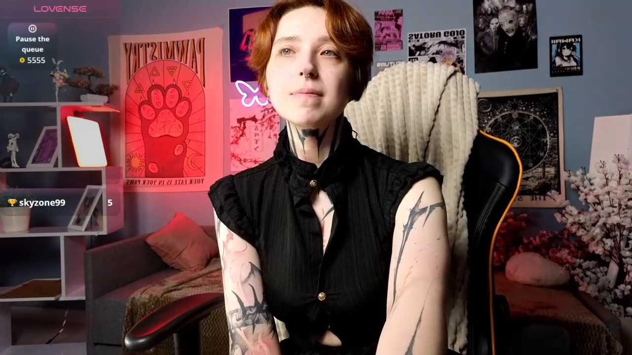 vixen_noir cam recording