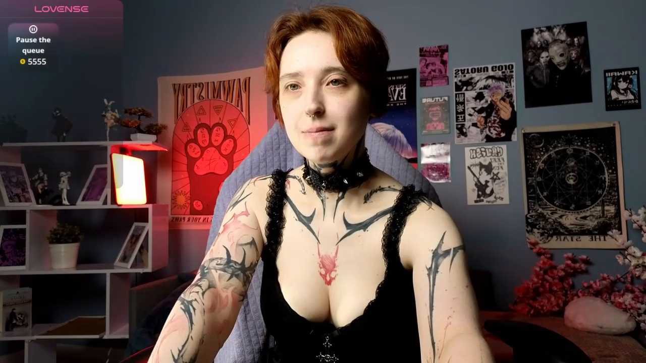 vixen_noir cam recording