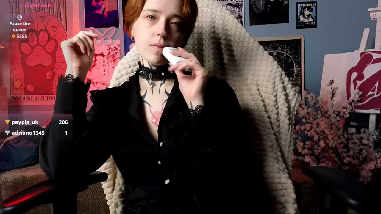 vixen_noir cam recording