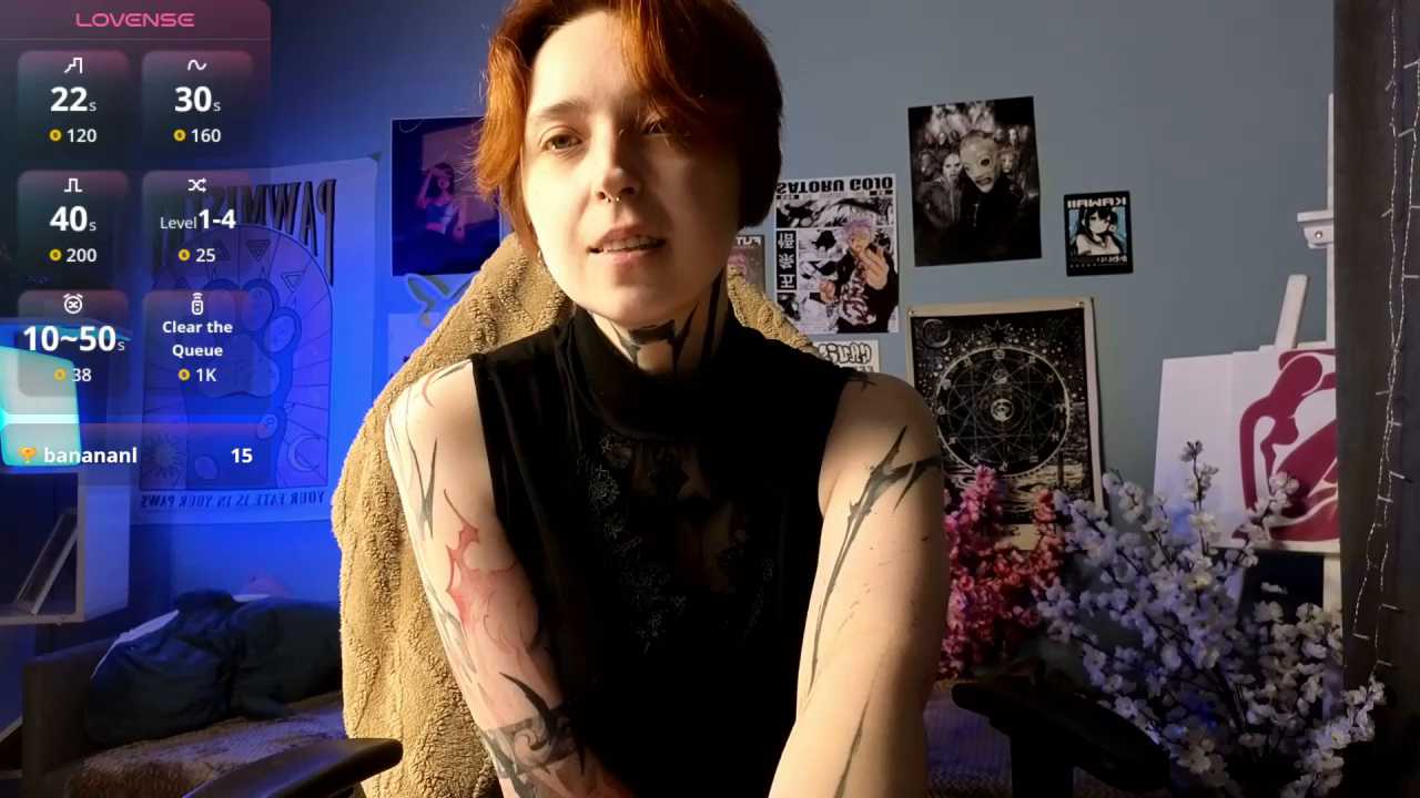 vixen_noir cam recording