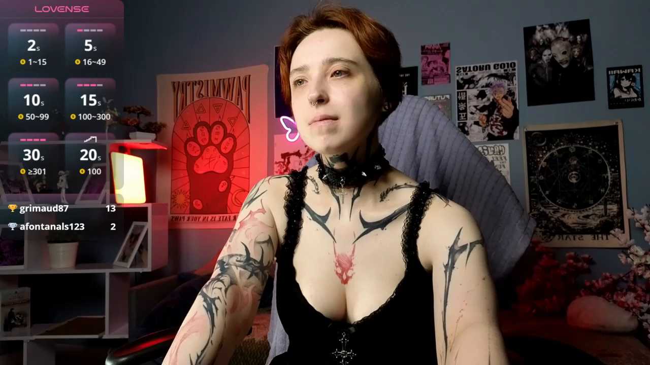 vixen_noir cam recording
