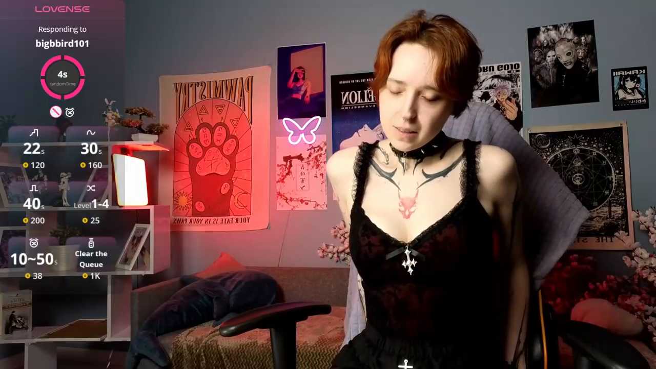 vixen_noir cam recording