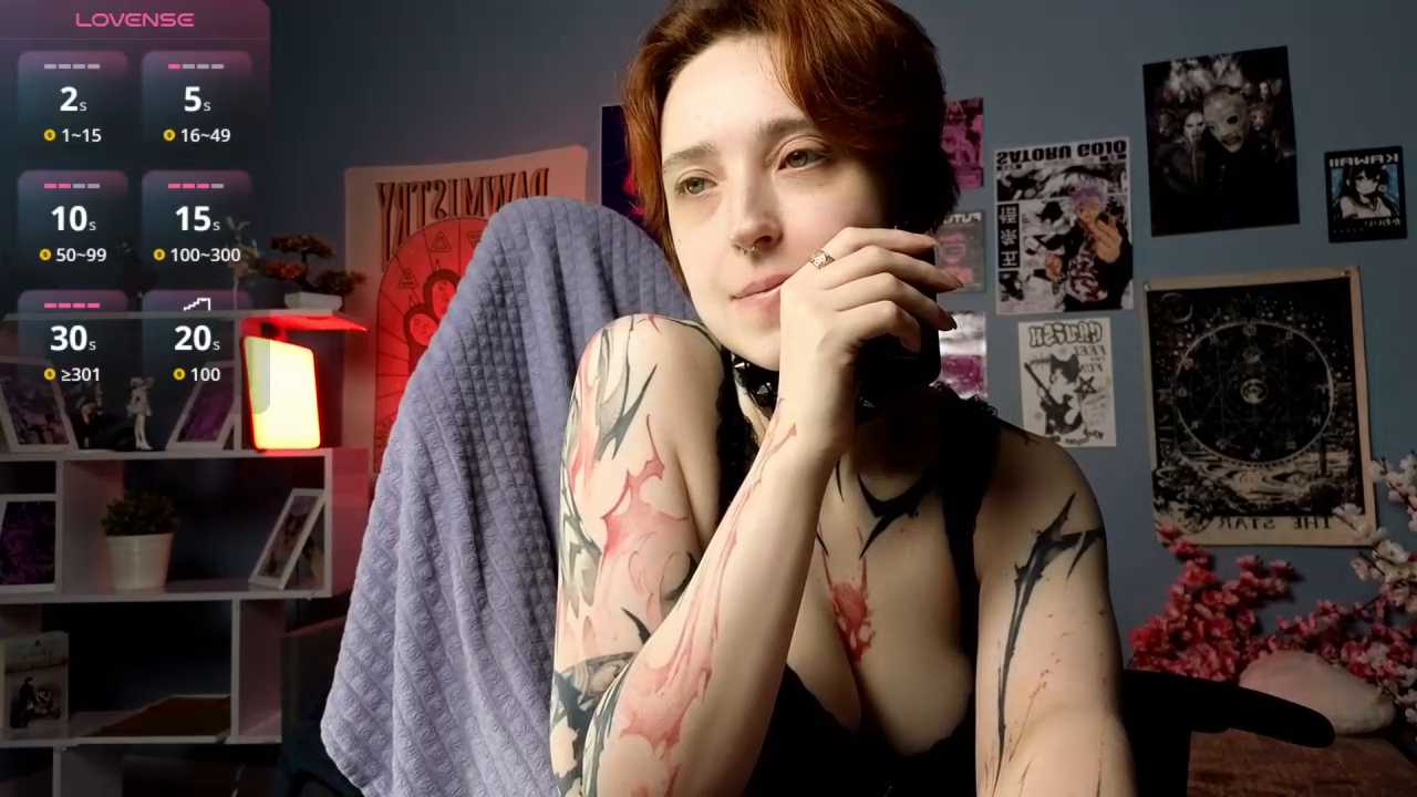 vixen_noir cam recording