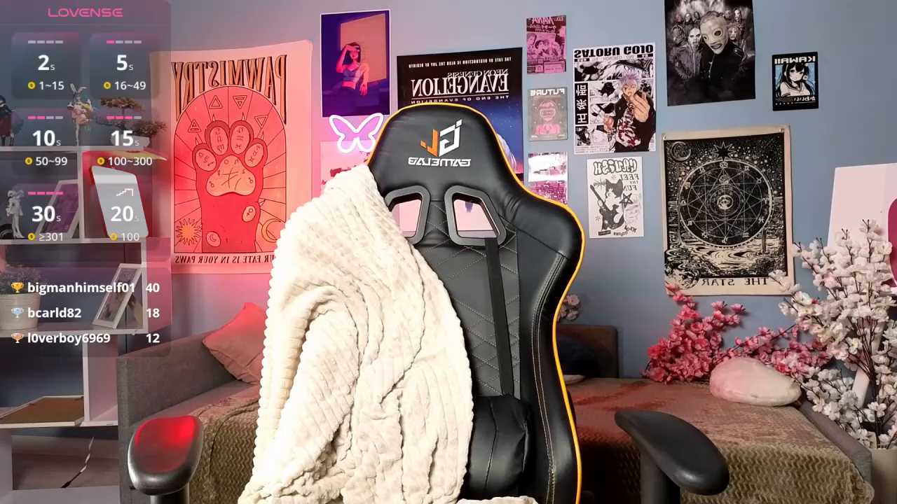 vixen_noir cam recording