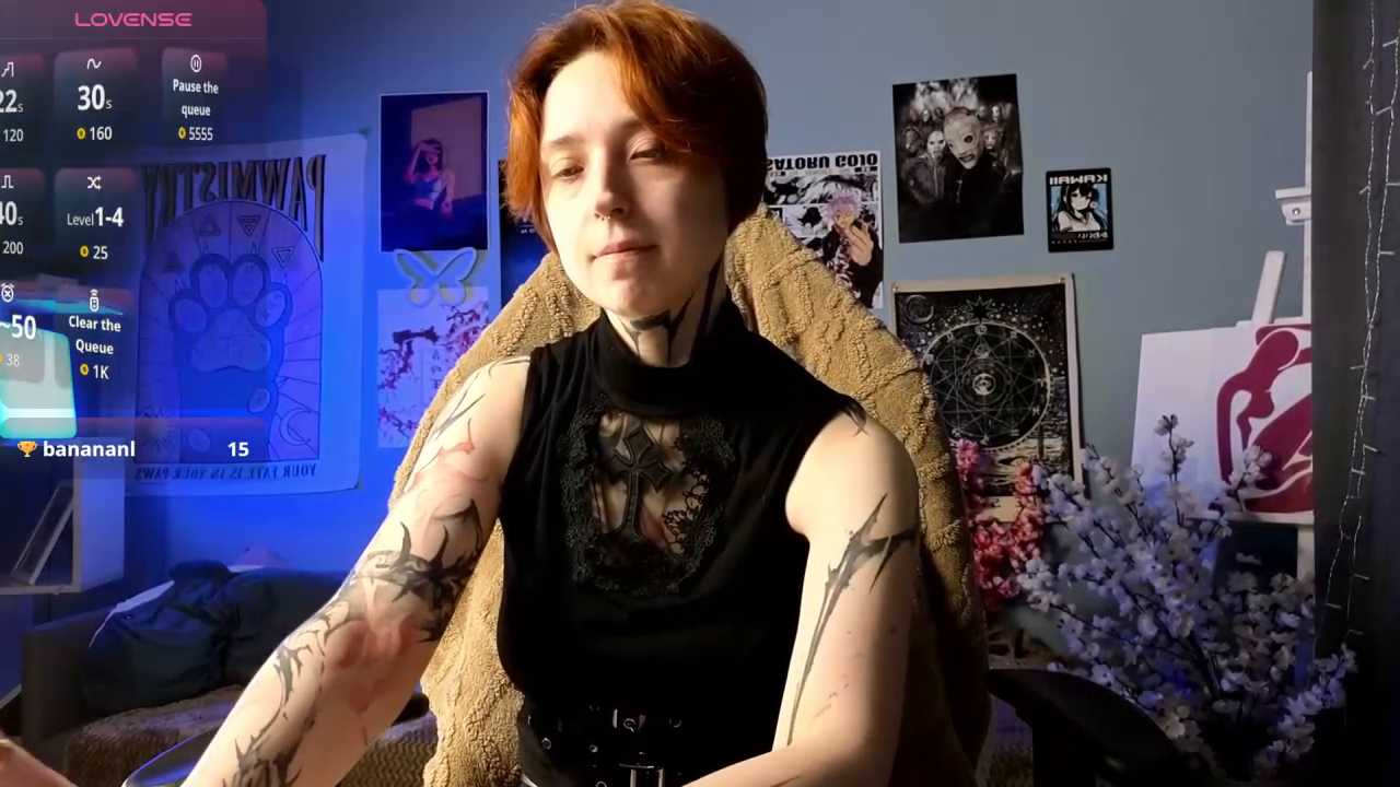 vixen_noir cam recording