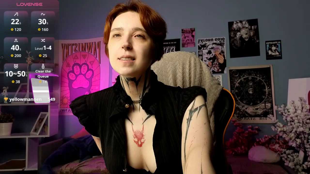 vixen_noir cam recording