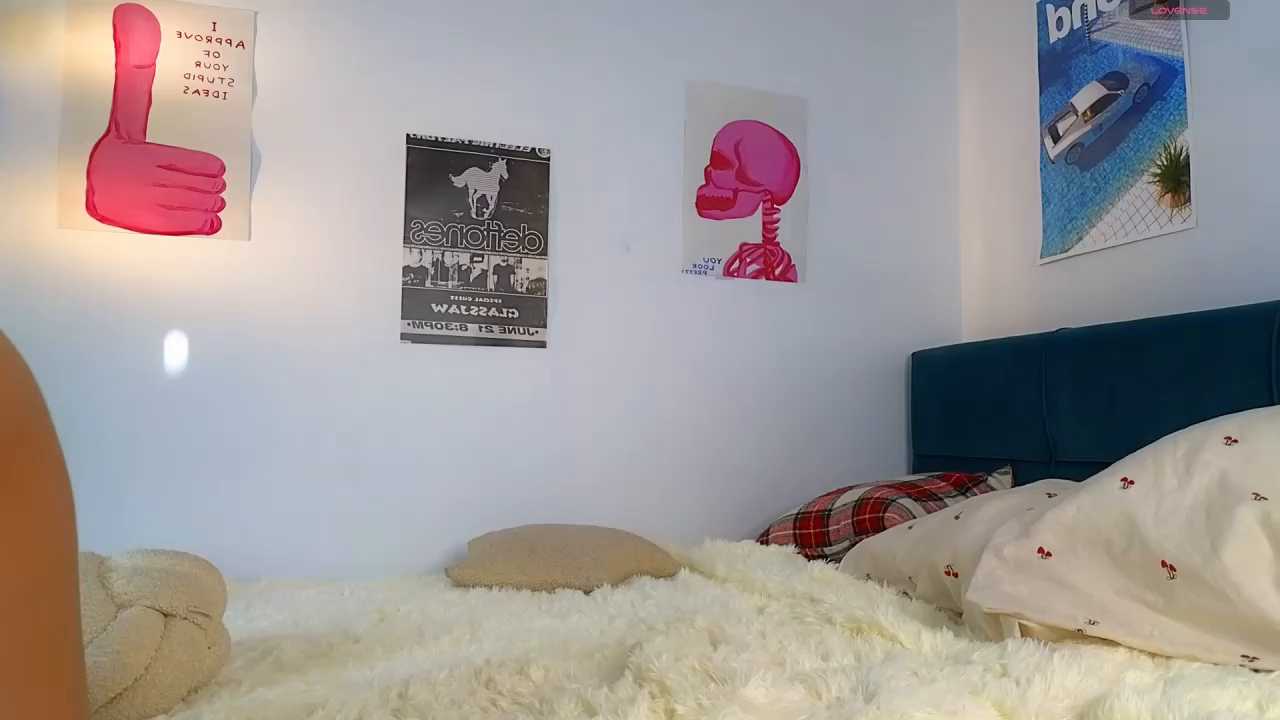 vixinp cam recording