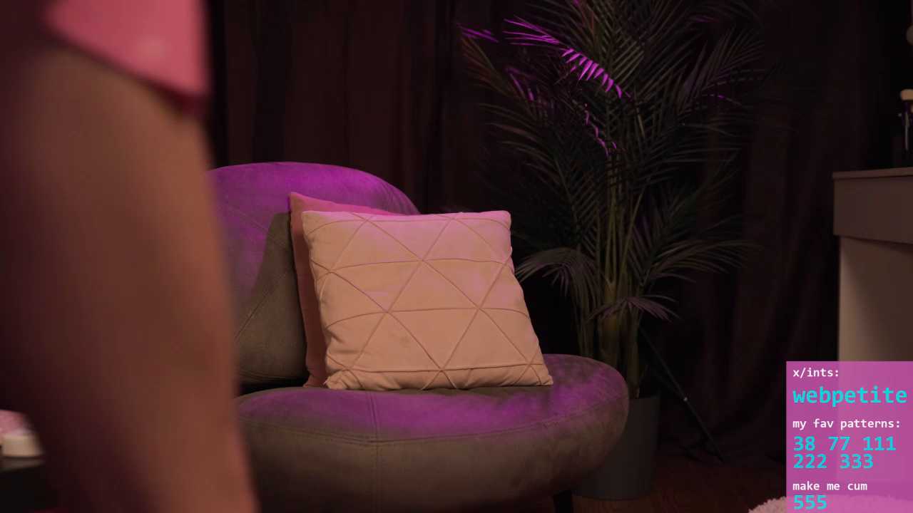 webpetite cam recording