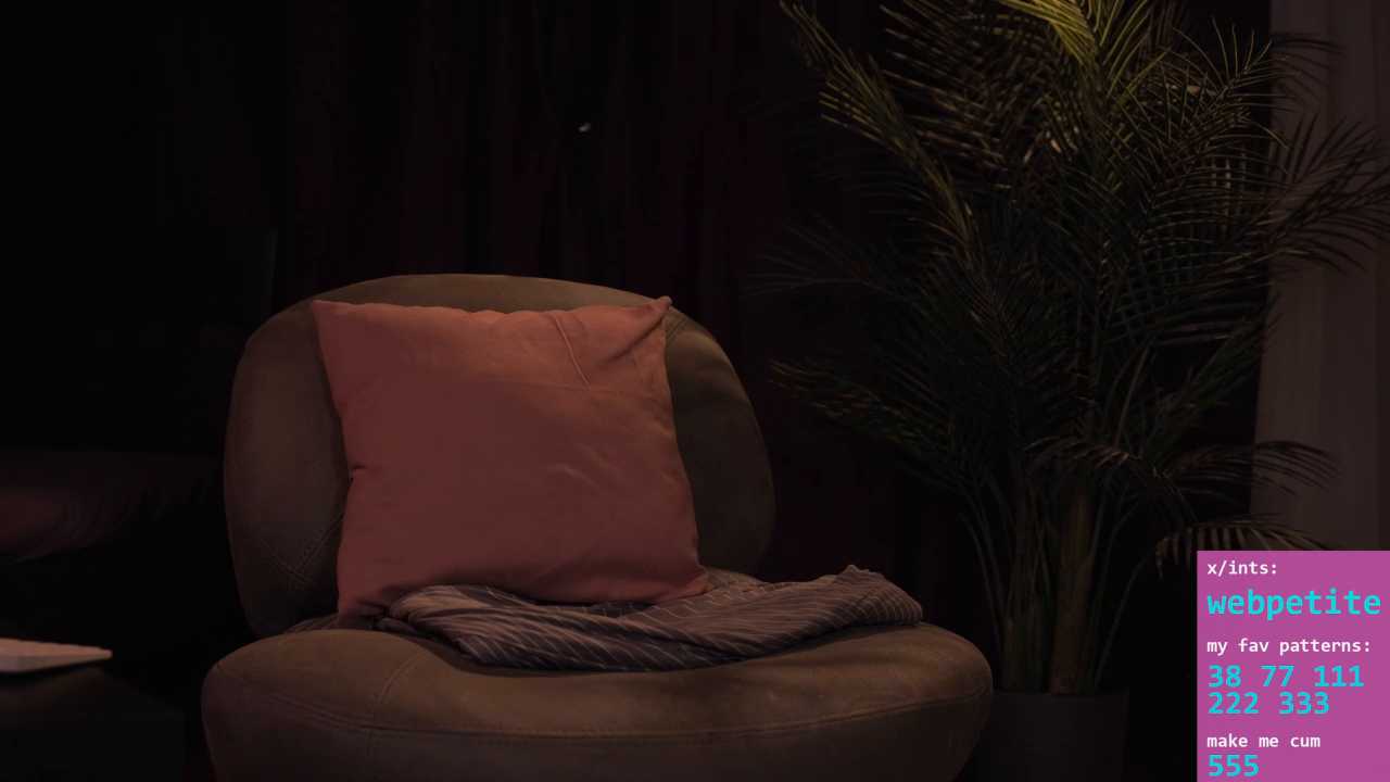 webpetite cam recording