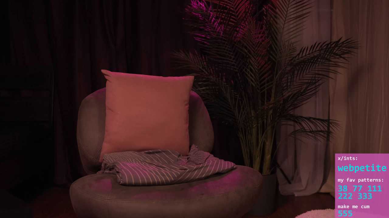 webpetite cam recording