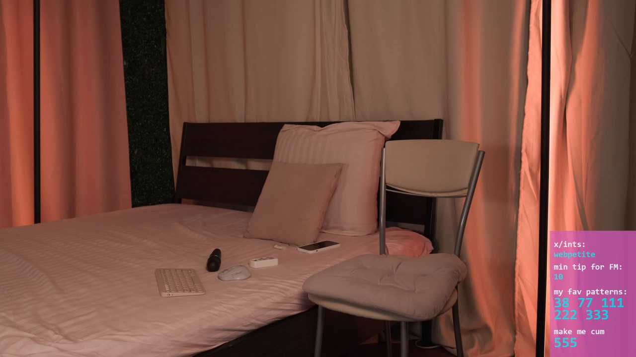 webpetite cam recording