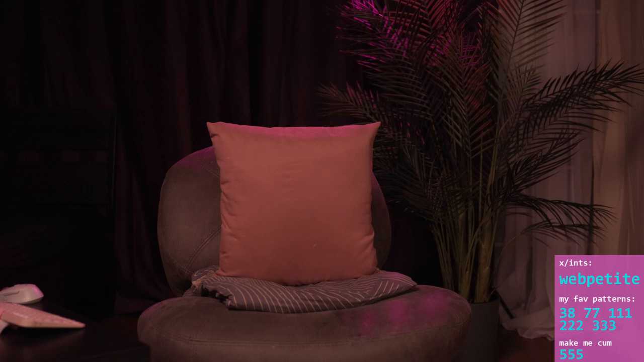 webpetite cam recording