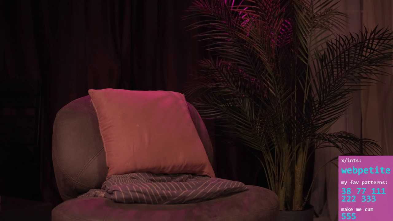 webpetite cam recording