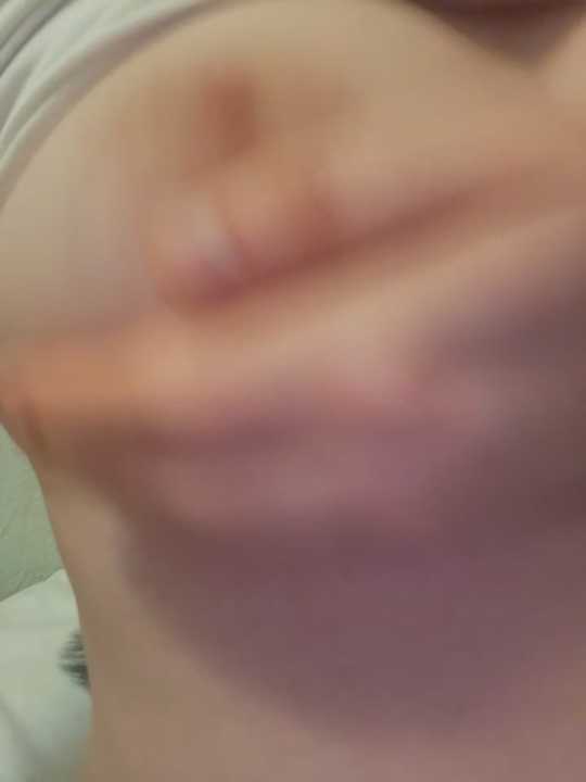 wehavepussies_xoxo