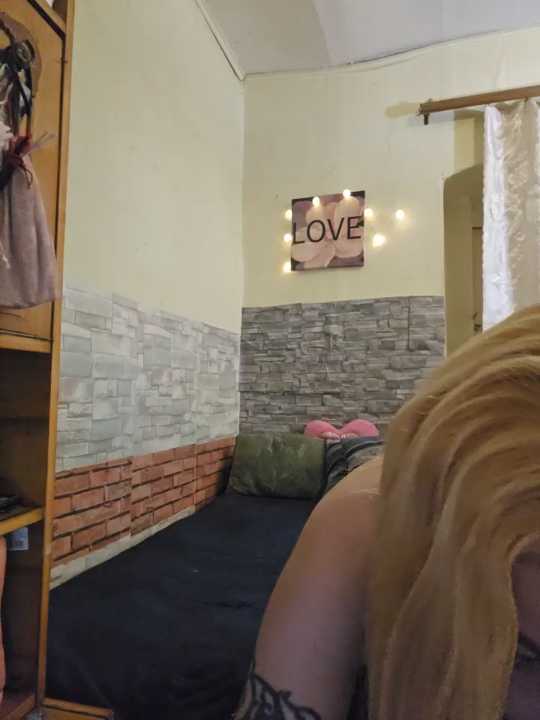 wildlia cam recording
