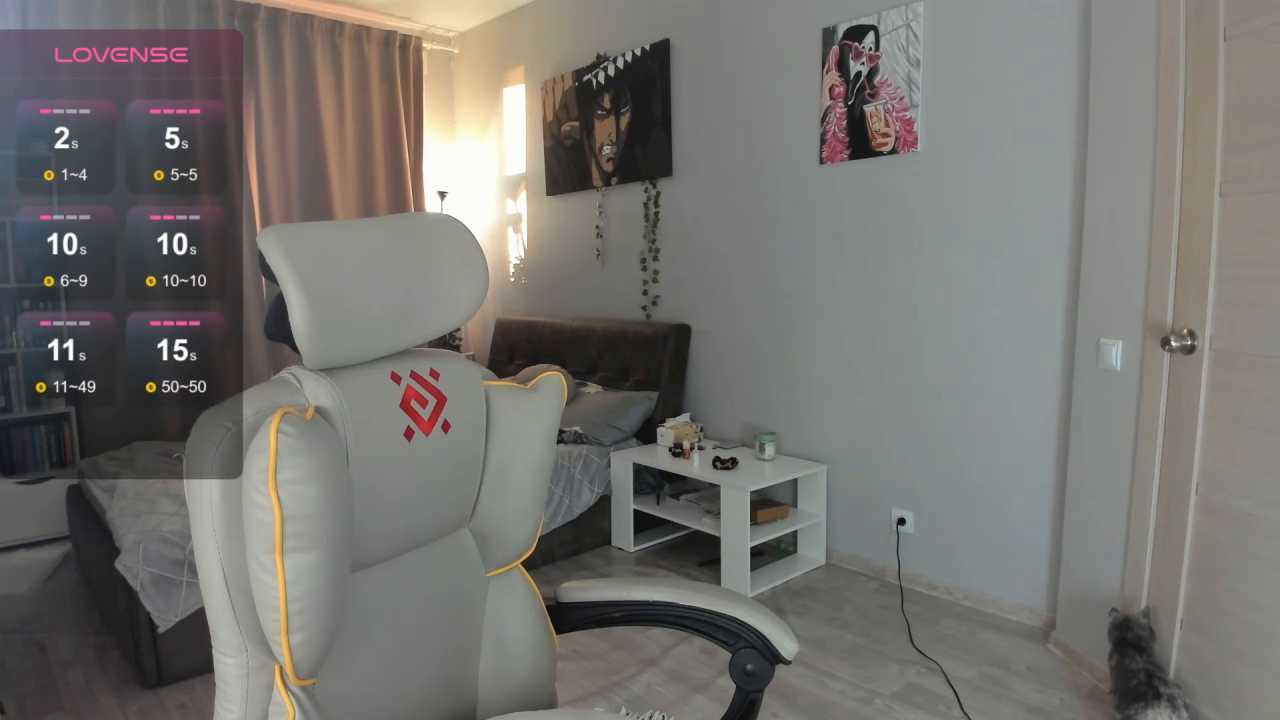 wwow_meow cam recording