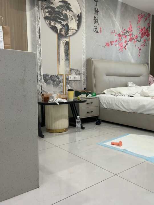 xiaotao-66 cam recording