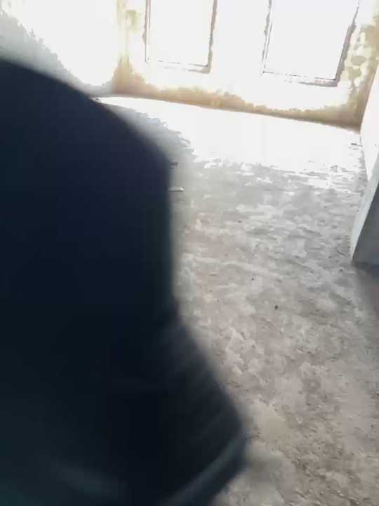 zqyaini cam recording
